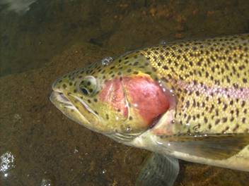S6300108.JPG