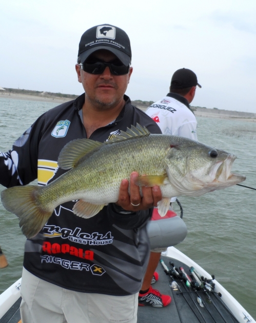 Campor el Mirador Presa Marte R. Gomez Sugar lake bass lobina