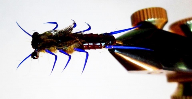 307960_258860850812961_100000671433706_806326_1423798638_n.jpg 307960_258860850812961_100000671433706_806326_1423798638_n.jpg