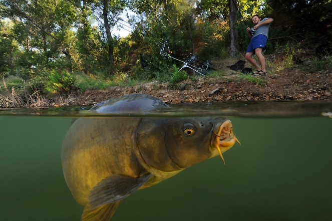 Carp-fishing-002.jpg