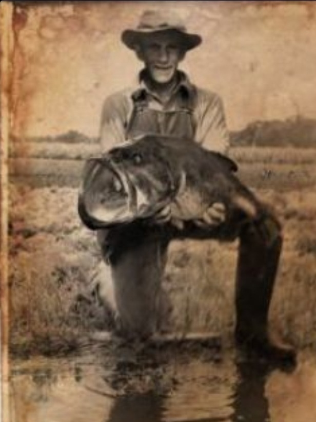 20130619-112524.jpg 20130619-112524.jpg