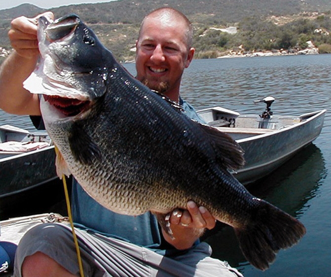 Jed-Dickerson-2003.jpg Jed-Dickerson-2003.jpg