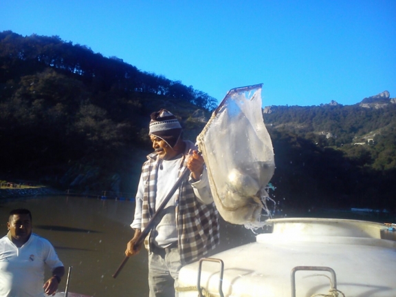 IMG-20141201-WA0004.jpg IMG-20141201-WA0004.jpg