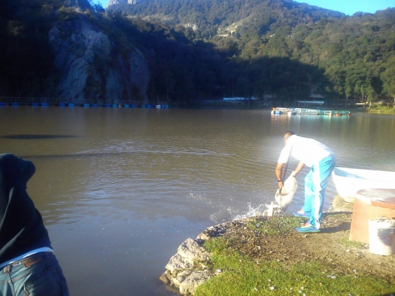 IMG-20141201-WA0007.jpg IMG-20141201-WA0007.jpg