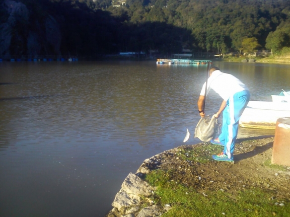 IMG-20141201-WA0009.jpg IMG-20141201-WA0009.jpg