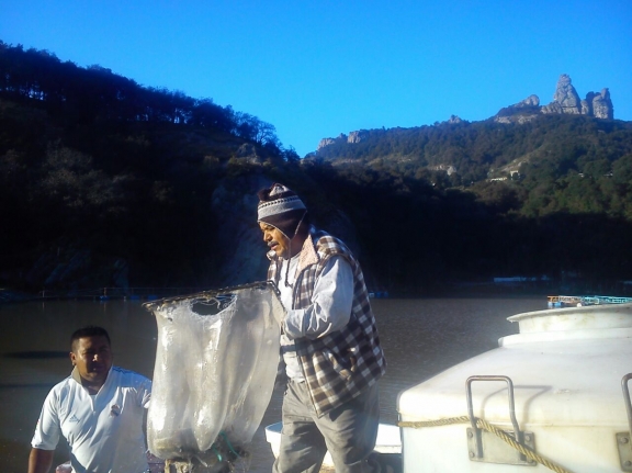 IMG-20141201-WA0012.jpg IMG-20141201-WA0012.jpg