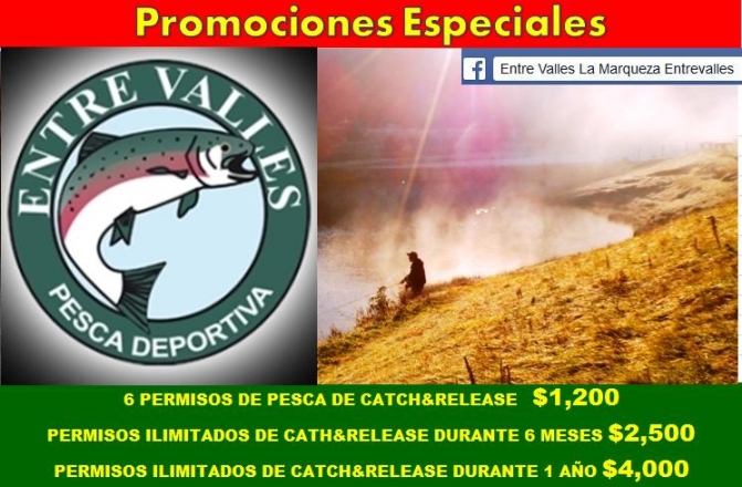 permisos.jpg permisos.jpg