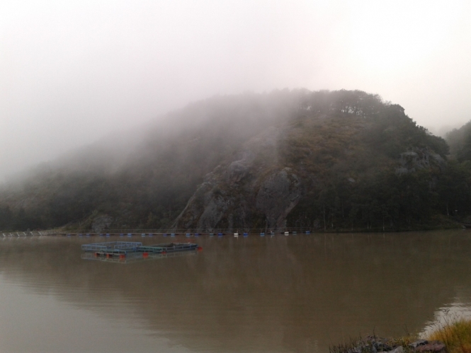 20141206_080858.jpg 20141206_080858.jpg