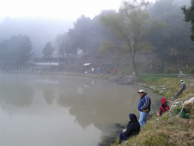 20141206_081446.jpg 20141206_081446.jpg