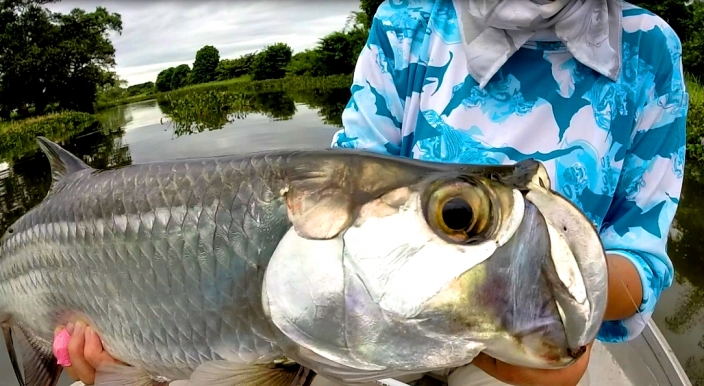 h20.jpg