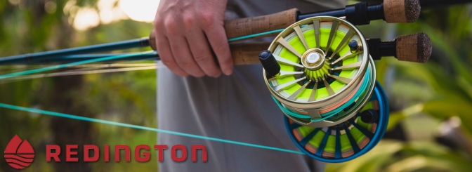 redington-header.jpg