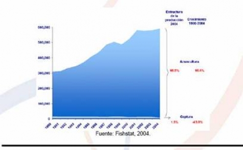 Produccion mundial de trucha