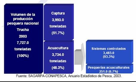 Produccion mundial de trucha