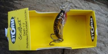 Novedades 2007 de Rapala y Storm, Scatback, Wildeye Minnow y X Rap XR08