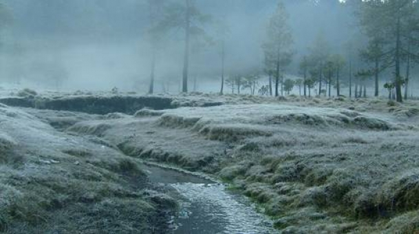 Cayo otra buena trucha en La Cienega