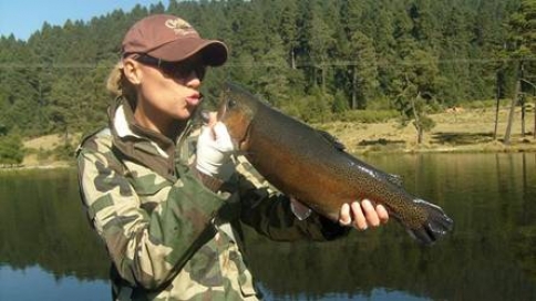 Cayo otra buena trucha en La Cienega