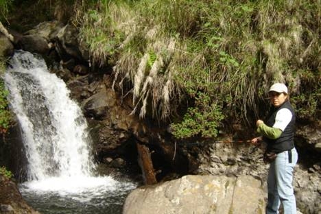 Pescando truchas Arcoiris en Rio parte 1