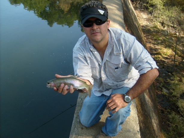 S6300296.JPG