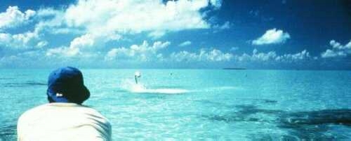 Tecnicas de pesca en los bajos (Flats) Tecnicas de pesca en los bajos (Flats)