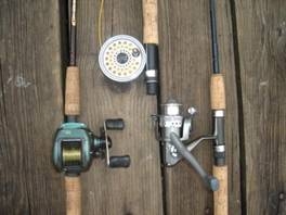 Tips de pesca de lobina desde orilla