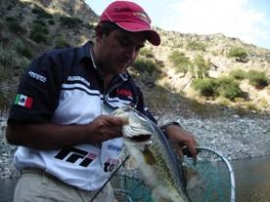 Ultimas resenas de la pesca en Zimapan Mayo - Junio 2007 Ultimas resenas de la pesca en Zimapan Mayo - Junio 2007