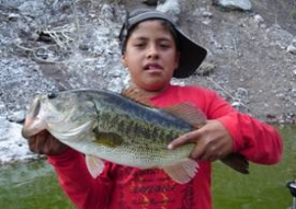 Ultimas resenas de la pesca en Zimapan Mayo - Junio 2007 Ultimas resenas de la pesca en Zimapan Mayo - Junio 2007