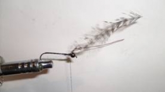 Atando un Acocil, para la pesca de trucha