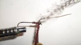 Atando un Acocil, para la pesca de trucha