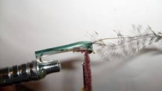 Atando un Acocil, para la pesca de trucha