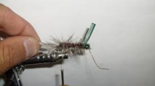 Atando un Acocil, para la pesca de trucha