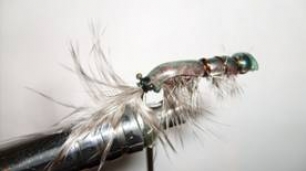 Atando un Acocil, para la pesca de trucha