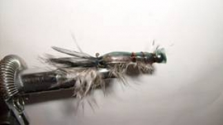 Atando un Acocil, para la pesca de trucha