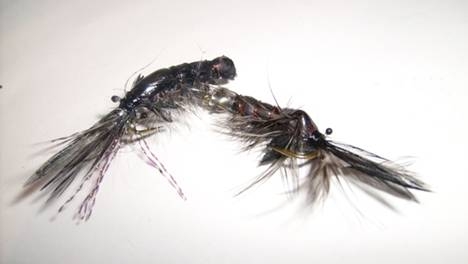 Atando un Acocil, para la pesca de trucha