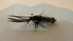 Atando un Acocil, para la pesca de trucha