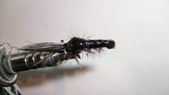 Atando un Acocil, para la pesca de trucha