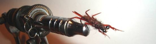 Atando paso a paso Stone Fly Atando paso a paso Stone Fly