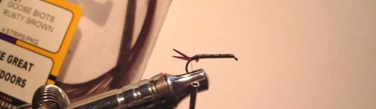 Atando paso a paso Stone Fly Atando paso a paso Stone Fly