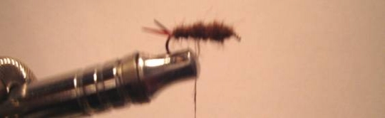 Atando paso a paso Stone Fly Atando paso a paso Stone Fly