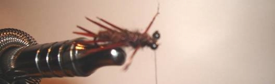 Atando paso a paso Stone Fly Atando paso a paso Stone Fly