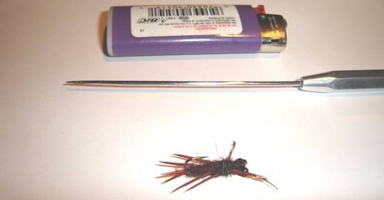 Atando paso a paso Stone Fly Atando paso a paso Stone Fly