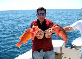 Baja California, pionero en la proteccion de especies acuaticas