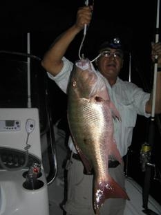 Especies del Caribe mexicano VIII, el Pargo Lunar