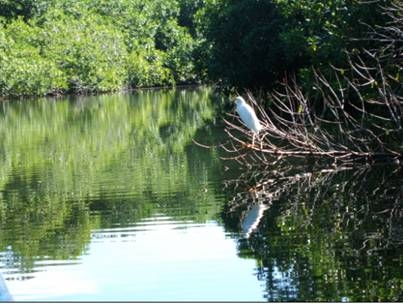 Viaje de pesca Chacahua, Oaxaca