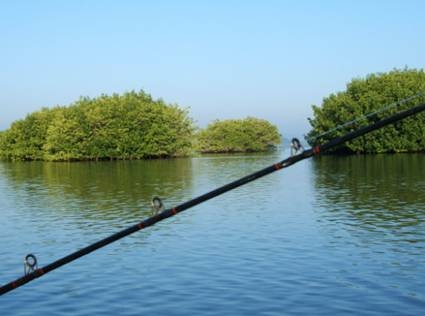 Viaje de pesca Chacahua, Oaxaca