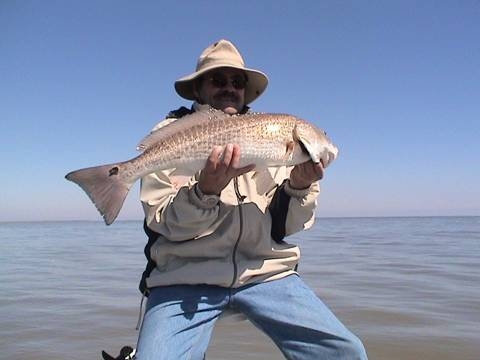La Pesca de la Corvina La Pesca de la Corvina