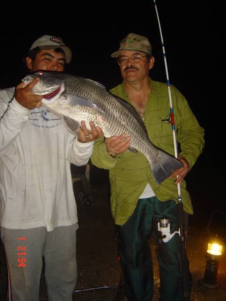 La pesca del Tambor La pesca del Tambor