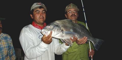 La pesca del Tambor La pesca del Tambor
