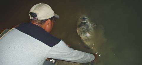 La pesca del Tambor La pesca del Tambor