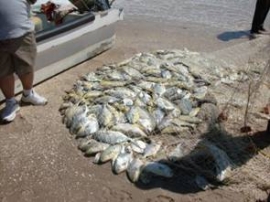 Pescando en Barra de Caballos