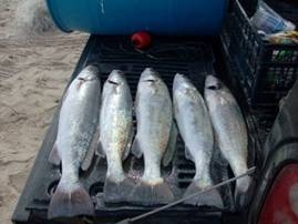 Pescando en Barra de Caballos